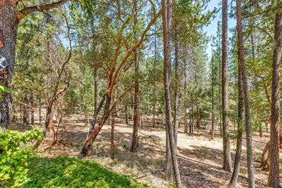 363 Kitty Drive, Eagle Point, OR 97524 - Photo 55