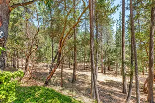 363 Kitty Dr, Eagle Point, OR 97524 - Photo 55