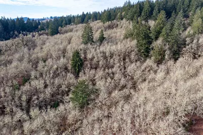 Next To Airlie Road, Monmouth, OR 97361 - Photo 29
