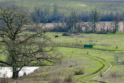 Next To Airlie Road, Monmouth, OR 97361 - Photo 9