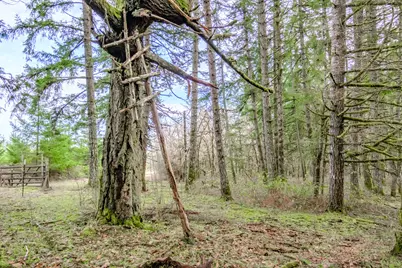 Next To Airlie Road, Monmouth, OR 97361 - Photo 19