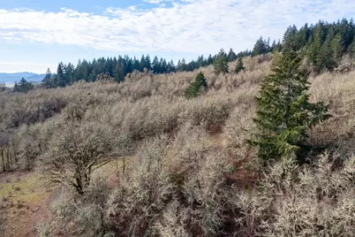 Next To Airlie Road, Monmouth, OR 97361 - Photo 31