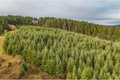 0 Airlie Road, Monmouth, OR 97361 - Photo 15