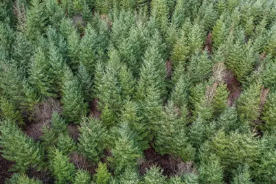 0 Airlie Road, Monmouth, OR 97361 - Photo 17