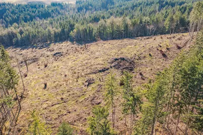 0 Airlie Road, Monmouth, OR 97361 - Photo 25