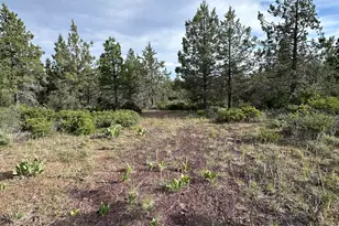 Porpoise Ln, Bonanza, OR 97623 - Photo 1