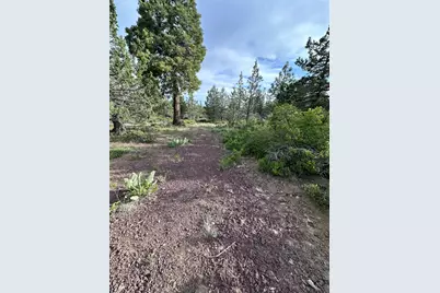 Porpoise Lane #Lot 29, Bonanza, OR 97623 - Photo 13