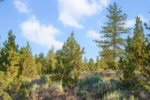 60360 Horse Butte Rd, Bend, OR 97702 - Photo 57