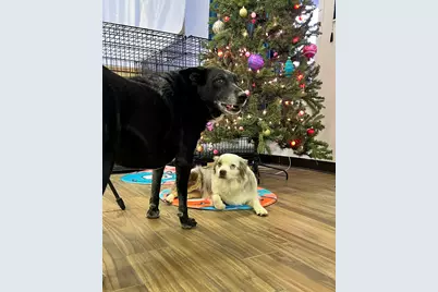 223 NW Oneil Way, Redmond, OR 97756 - Photo 17