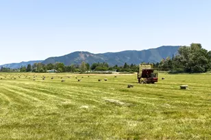 3290 Lower River Rd, Grants Pass, OR 97526 - Photo 33