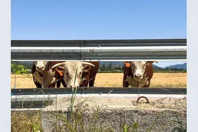 3290 Lower River Road, Grants Pass, OR 97526 - Photo 7