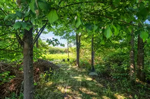 1252 Ellingson Rd SE, Albany, OR 97322 - Photo 29