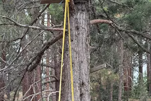 7238 Teal Dr, Bonanza, OR 97623 - Photo 17