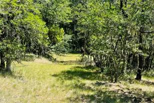 826 Ulrich Rd, Prospect, OR 97536 - Photo 3