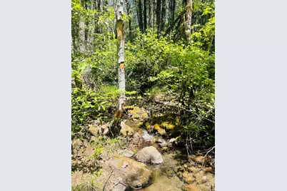 826 Ulrich Road, Prospect, OR 97536 - Photo 5