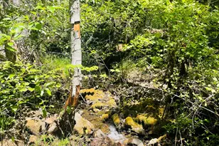 826 Ulrich Rd, Prospect, OR 97536 - Photo 5