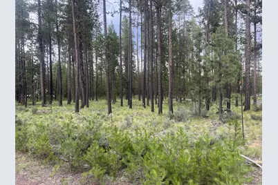 55970 Browning Drive, Bend, OR 97707 - Photo 3