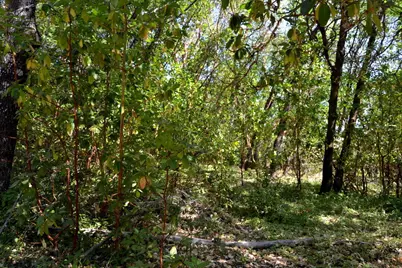 143 Jonathan Street, Grants Pass, OR 97526 - Photo 3