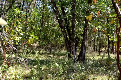 143 Jonathan Street, Grants Pass, OR 97526 - Photo 7