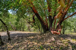 4405 Highland Ave, Grants Pass, OR 97526 - Photo 37