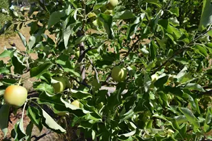 119 Patton Bar Rd, Cave Junction, OR 97523 - Photo 23