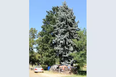 119 Patton Bar Road, Cave Junction, OR 97523 - Photo 27