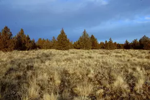 Tl 1700 Iowa Ave, Prineville, OR 97754 - Photo 3