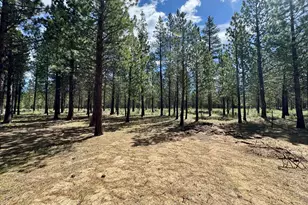 15188 Pyrola St, La Pine, OR 97739 - Photo 41