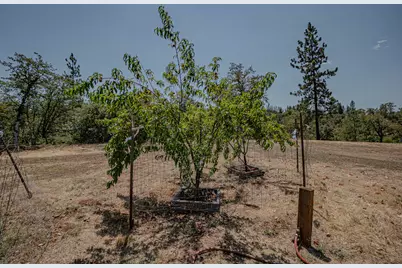 509 Derby Road, Eagle Point, OR 97524 - Photo 17