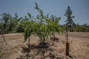 509 Derby Rd, Eagle Point, OR 97524 - Photo 17