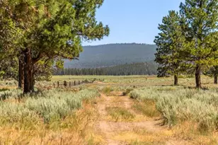 17707 Skeen Ranch Rd, Sprague River, OR 97639 - Photo 17