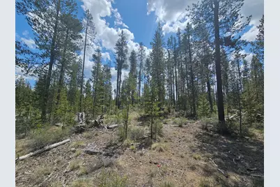 156468 Beal Road, La Pine, OR 97739 - Photo 3