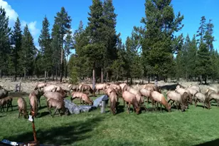 17170 Shawnee Cir, Bend, OR 97707 - Photo 49