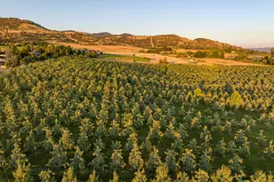 4050 Royal Crest Rd, Medford, OR 97504 - Photo 55