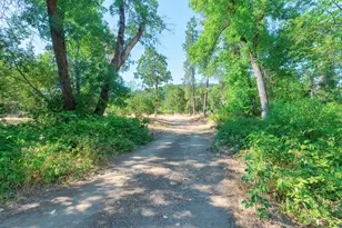 5626 Lakeshore Dr, Selma, OR 97538 - Photo 13