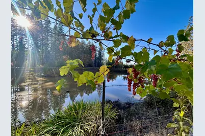 14242 Geppert Road, Butte Falls, OR 97522 - Photo 27