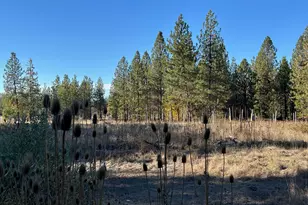 14242 Geppert Rd, Butte Falls, OR 97522 - Photo 41