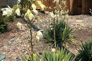 2586 NE Colleen Rd, Prineville, OR 97754 - Photo 21