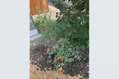 2586 NE Colleen Road, Prineville, OR 97754 - Photo 23