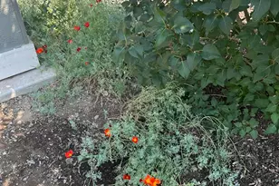 2586 NE Colleen Rd, Prineville, OR 97754 - Photo 23