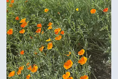 2586 NE Colleen Road, Prineville, OR 97754 - Photo 27