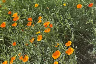 2586 NE Colleen Rd, Prineville, OR 97754 - Photo 27