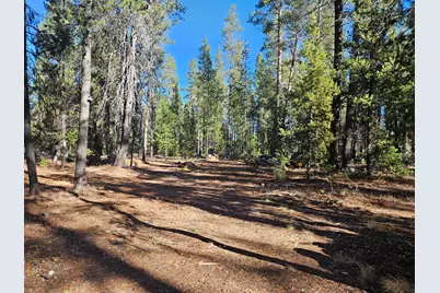 0 Scott View Drive #2 & 3, Chiloquin, OR 97624 - Photo 7