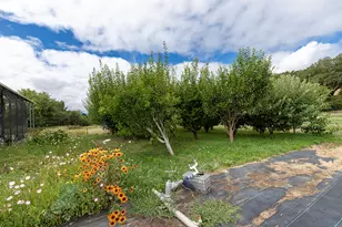 4441 Upper River Rd, Grants Pass, OR 97526 - Photo 13