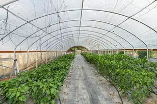 4441 Upper River Rd, Grants Pass, OR 97526 - Photo 11