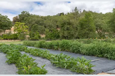 4441 Upper River Road, Grants Pass, OR 97526 - Photo 15