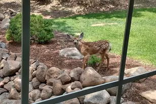 10358 Cinnamon Teal Dr, Klamath Falls, OR 97601 - Photo 89