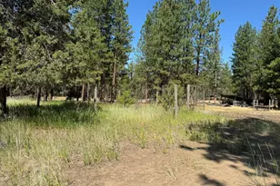 28961 Yonna Wood Rd, Bonanza, OR 97623 - Photo 39