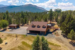 60625 Three Point Rd, Canyon City, OR 97820 - Photo 5