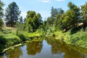 643 Covered Bridge Rd, Rogue River, OR 97537 - Photo 25